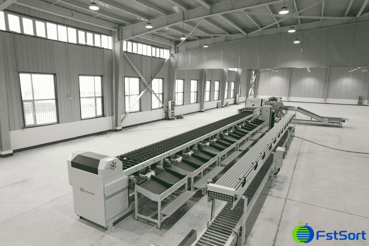 images/1691739979727fruit sorting grading machine.png